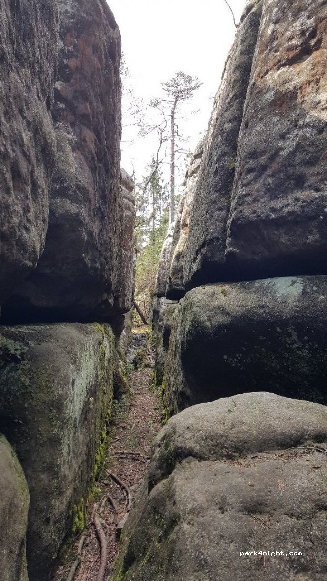(57) Kudowa-Zdrój - Szlak pieszy zielony — foto 2