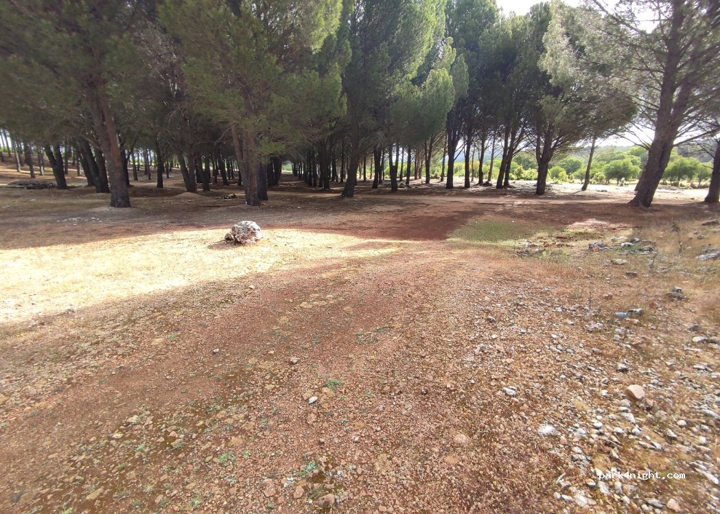 (07580) Antalya - Demre Kaş Yolu — foto 4