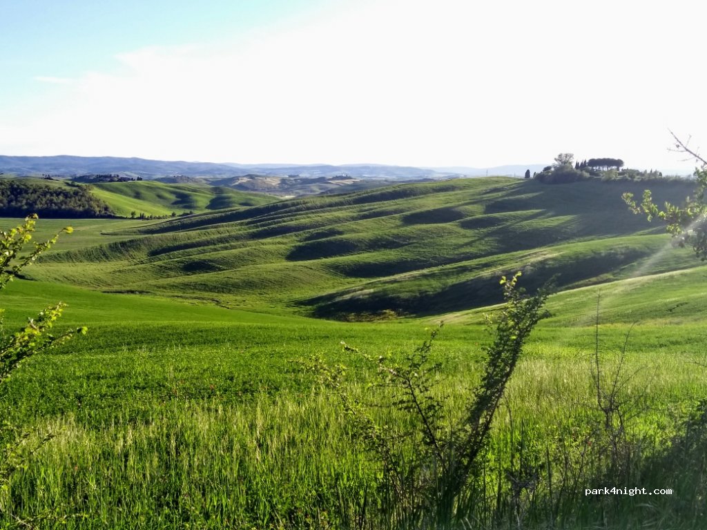 (53041) Asciano - Strada Provinciale 438 — foto
