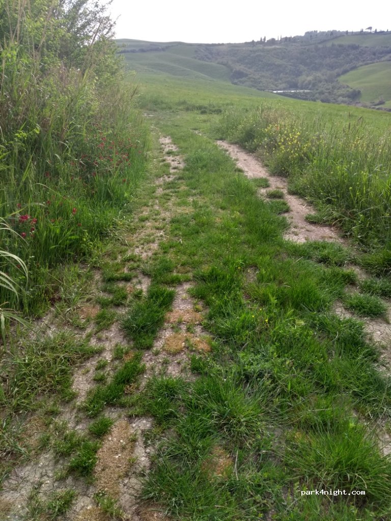 (53041) Asciano - Strada Provinciale 438 — foto 3