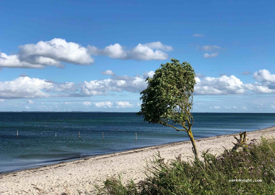 (5953) Tranekær - 12A Botofte Strandvej — foto 4