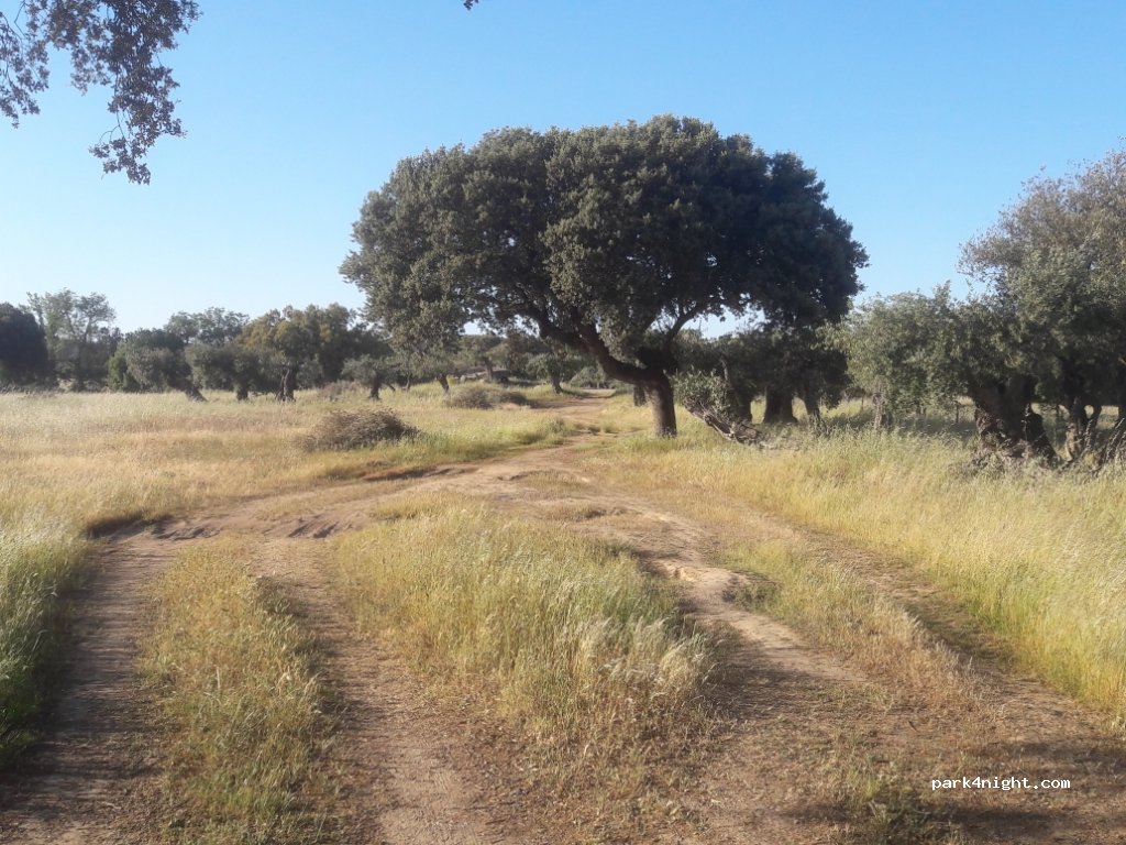 (7200)  - Unnamed Road — foto 2