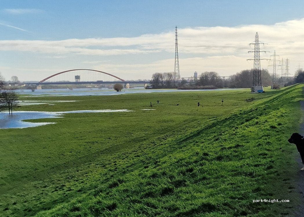 (47198) Duisburg - Wilhelmallee — foto 4