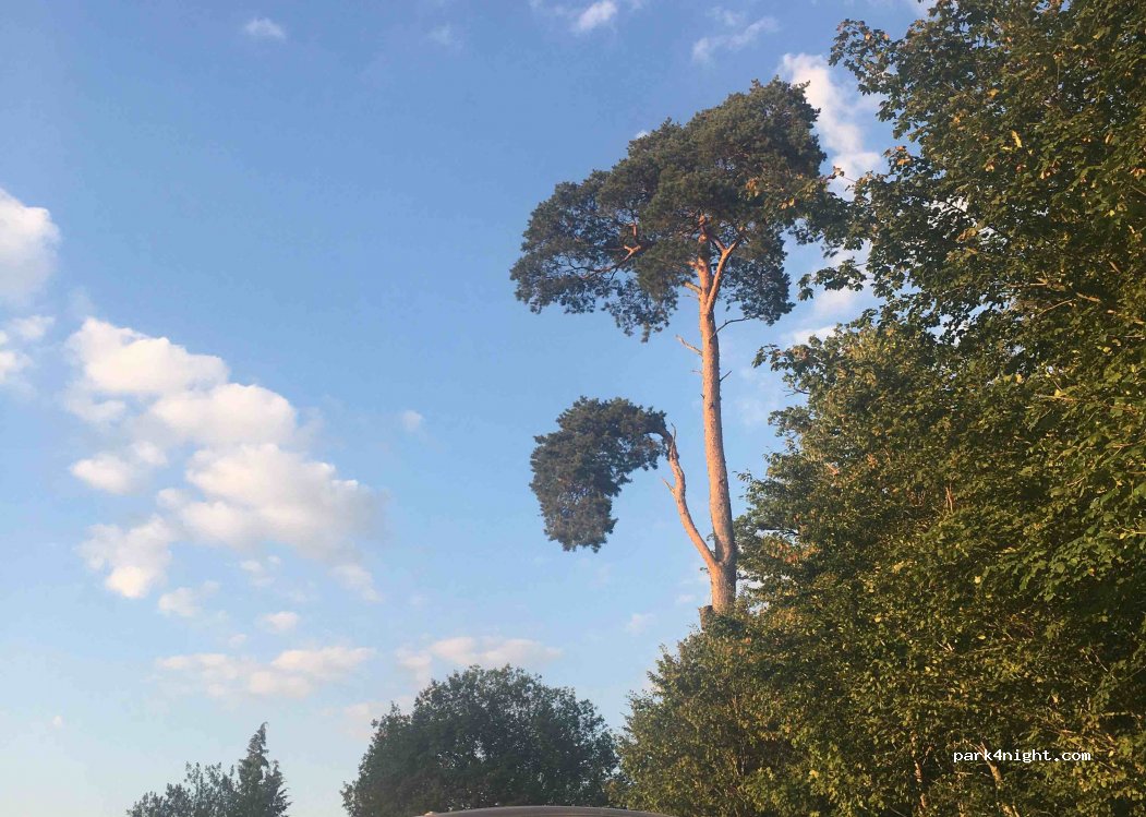 (74850) Schefflenz - Waldstraße — foto 3