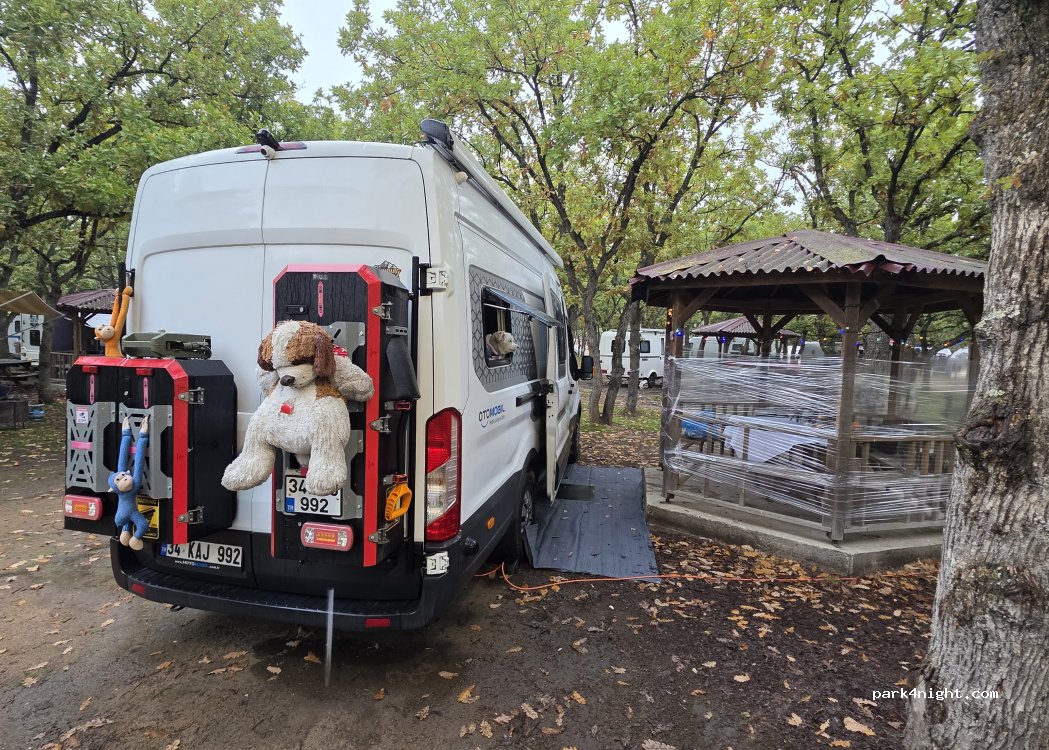 Kavaklı Creek Recreation Area Oak Grove — foto 5