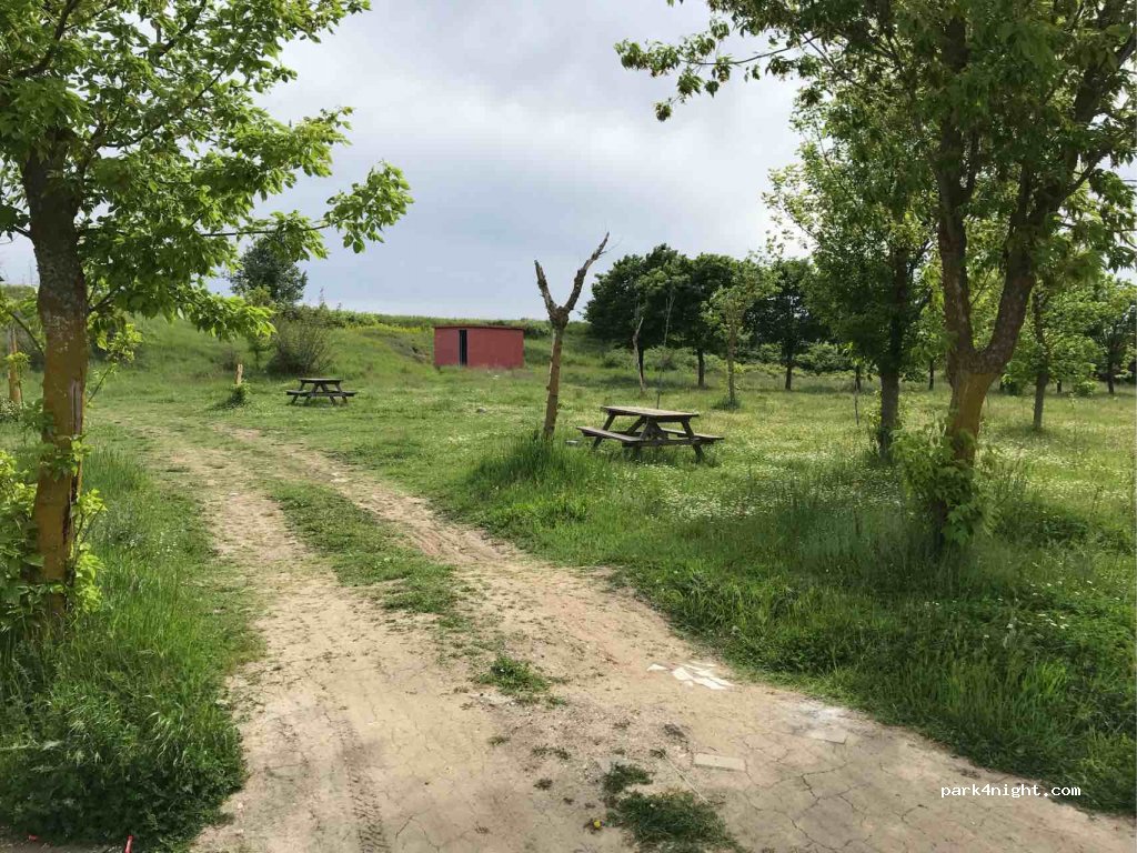 (22500) Edirne - Melehat Kilimci Caddesi — foto