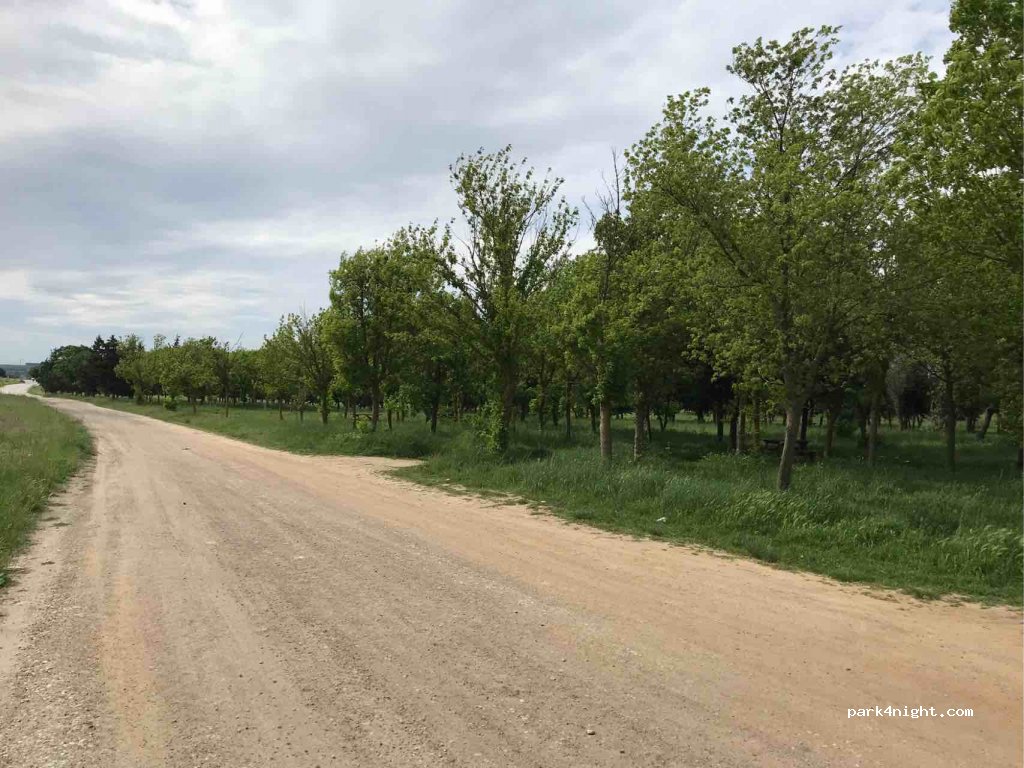 (22500) Edirne - Melehat Kilimci Caddesi — foto 2