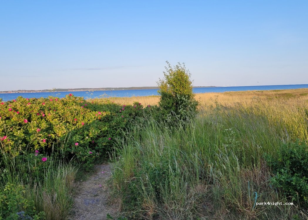 (8400) Ebeltoft - 37 Fuglsøvej — foto 2