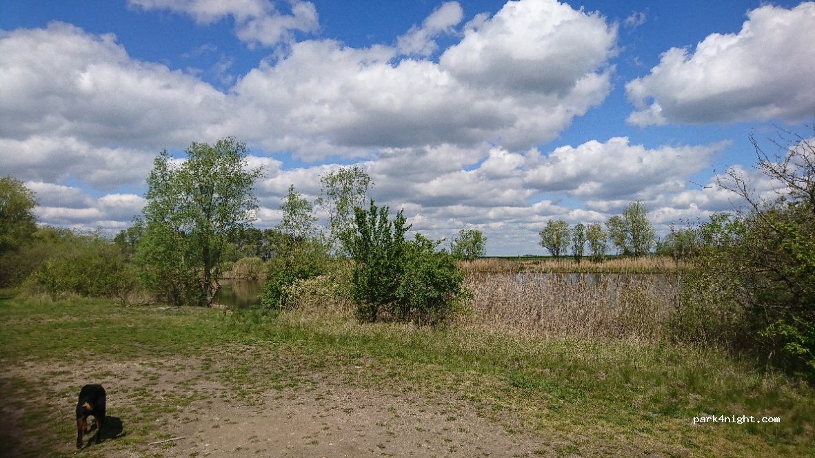 (06366) Köthen (Anhalt) - Unnamed Road — foto 3