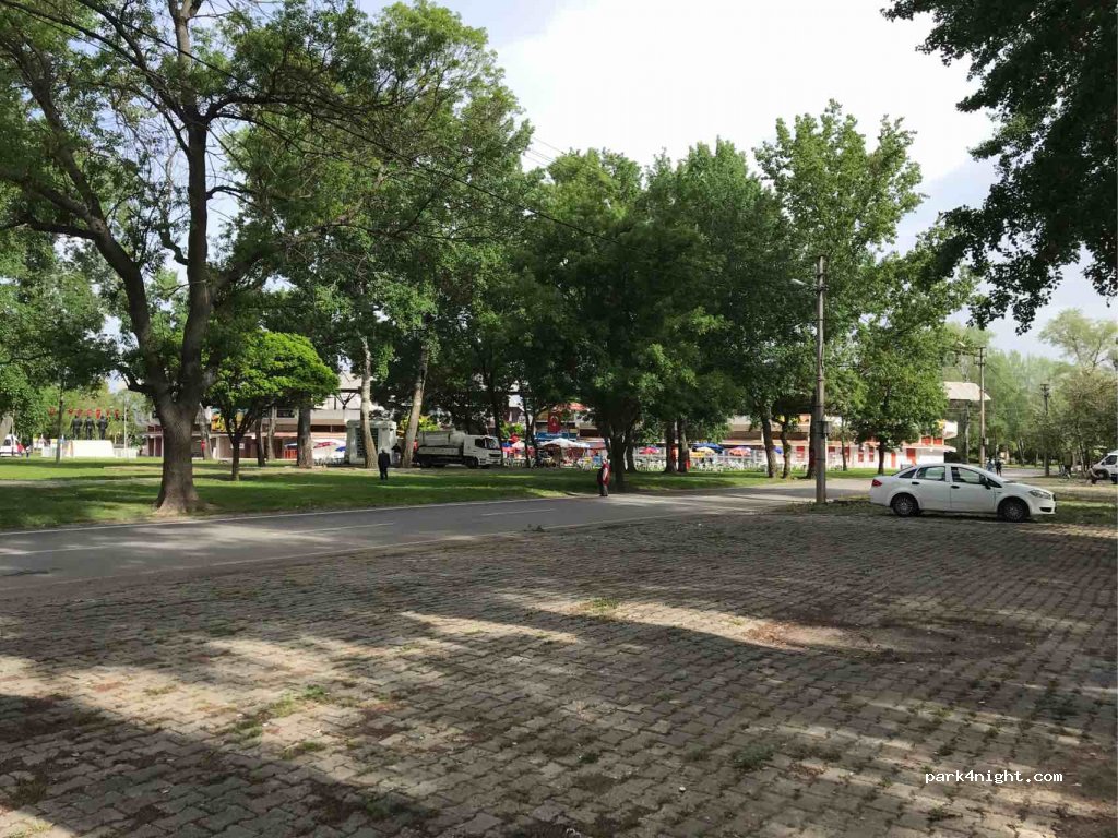 (22020)  - Kırkpınar Sahası — foto 2