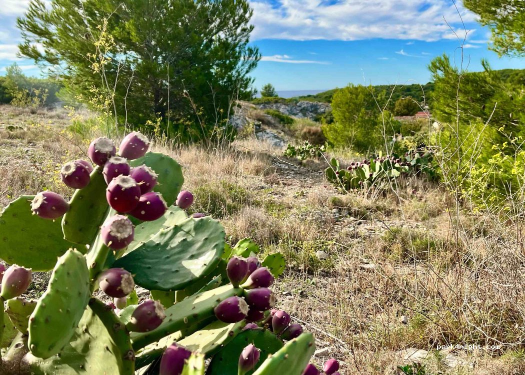 (13500) Martigues - 2 Allée des Roches — foto 2