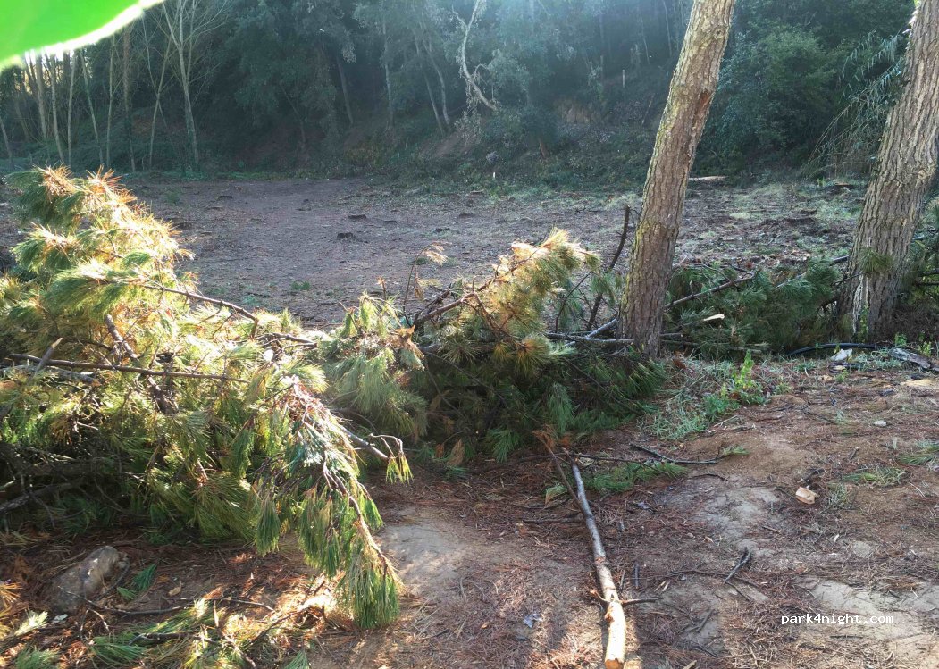 (08396) Sant Pol de Mar - Camí de Can Patxoca — foto 2