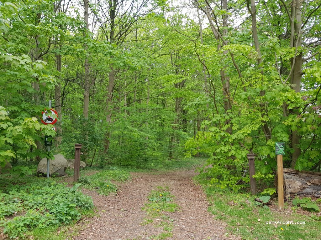 (4180) Sorø - 40 Ringstedvej — foto