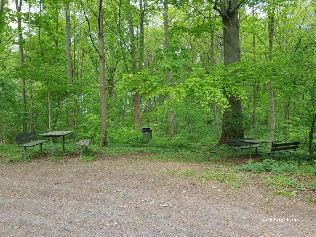 (4180) Sorø - 40 Ringstedvej — foto 2