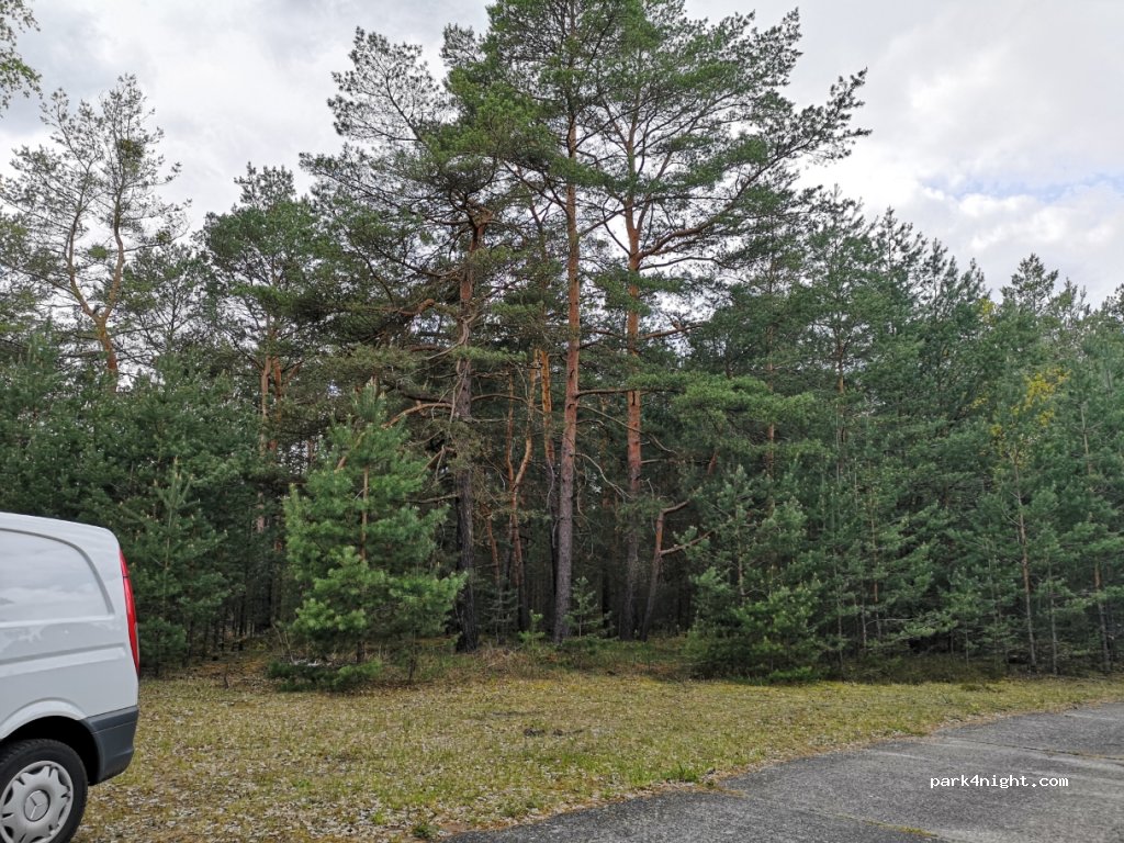 (03238) Lichterfeld-Schacksdorf - Unnamed Road — foto
