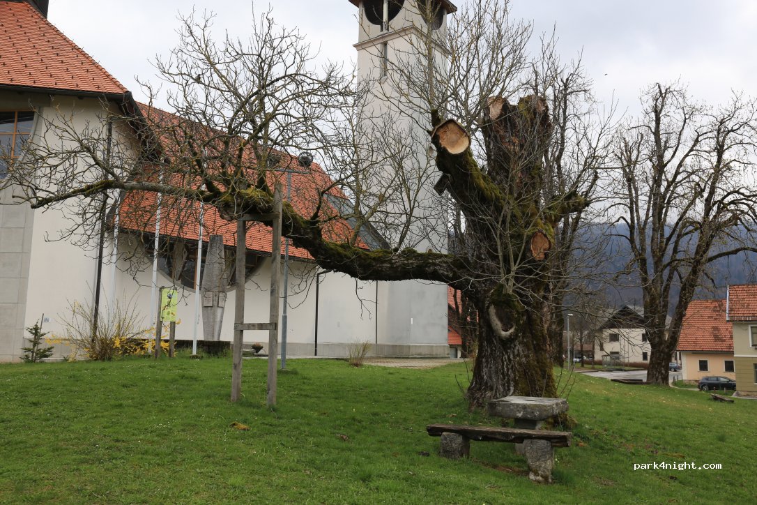 (1338) Kočevska Reka - 53 Kočevska Reka — foto 3