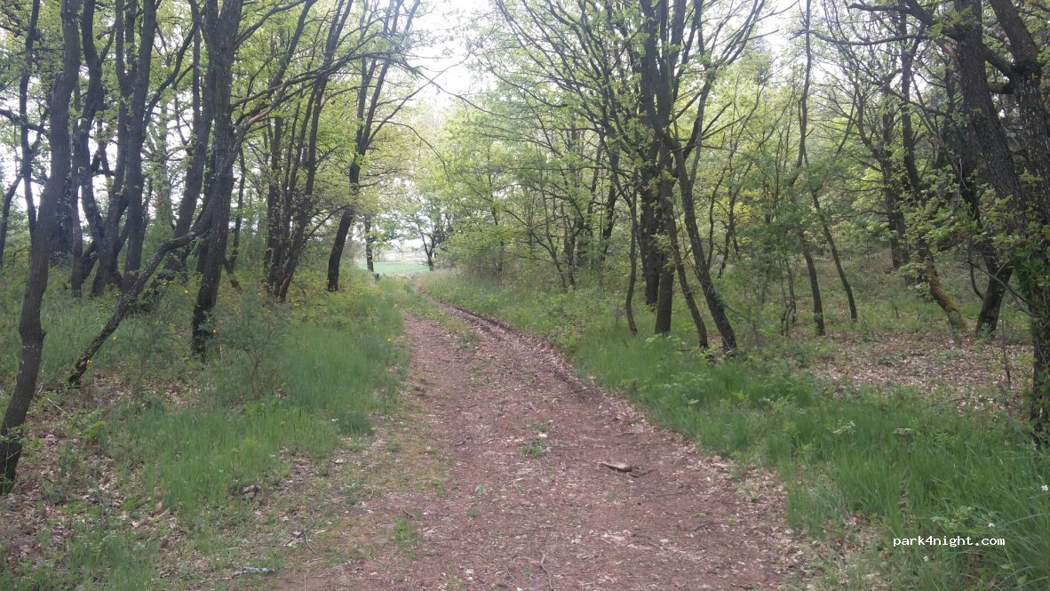 (07290) Quintenas - Unnamed Road — foto