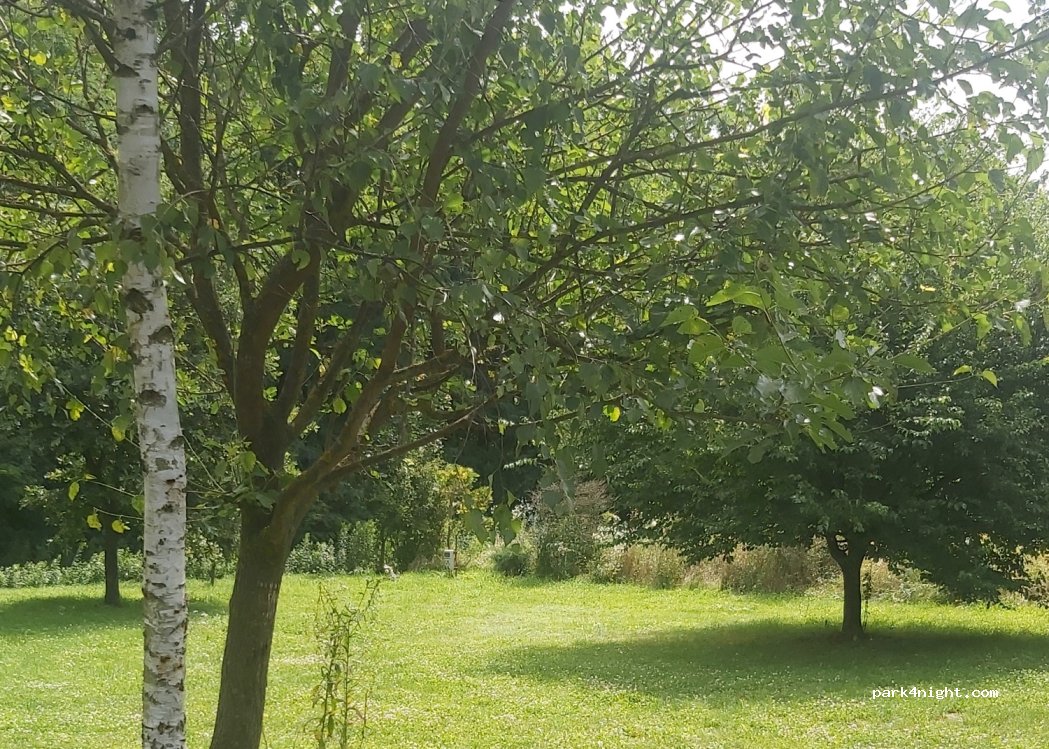 Camping Area Oase Halogy — foto 3