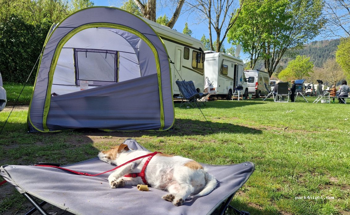 Campingplatz an der Friedensbrücke — foto 2