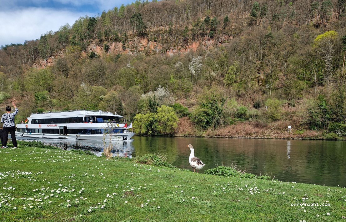 Campingplatz an der Friedensbrücke — foto 4