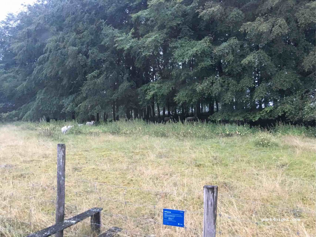 (9400) Nørresundby - 11 Vendilavej — foto 4