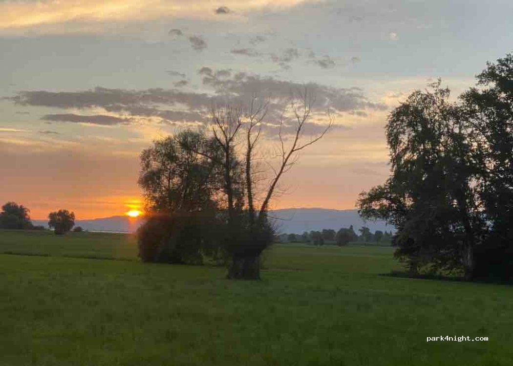 (6974) Gaißau - Rheinstraße — foto 4