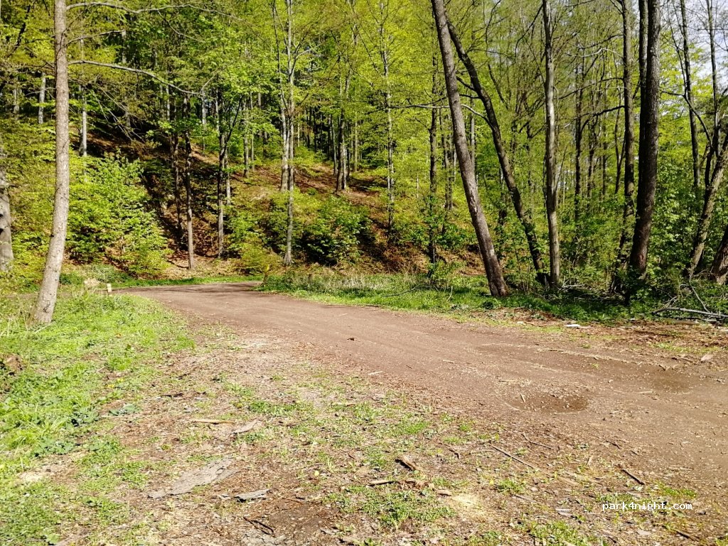 (58) Stare Bogaczowice - Unnamed Road — foto