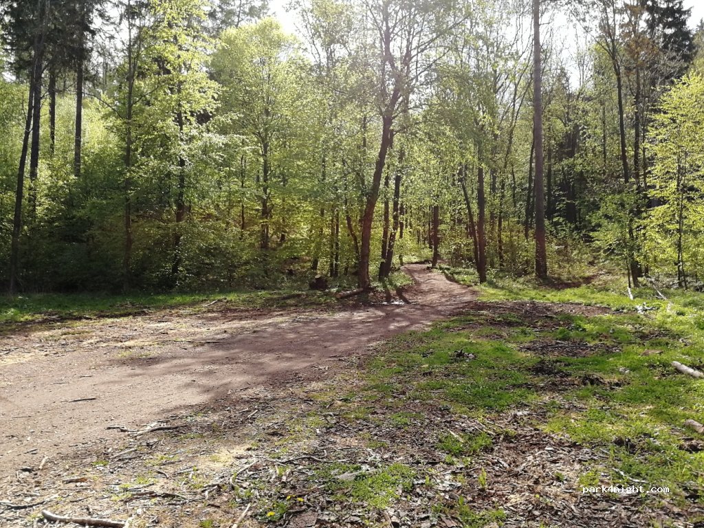 (58) Stare Bogaczowice - Unnamed Road — foto 2
