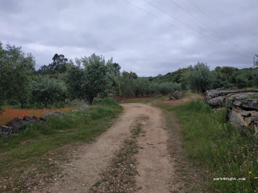 (2490) Ourém - Rua Principal — foto