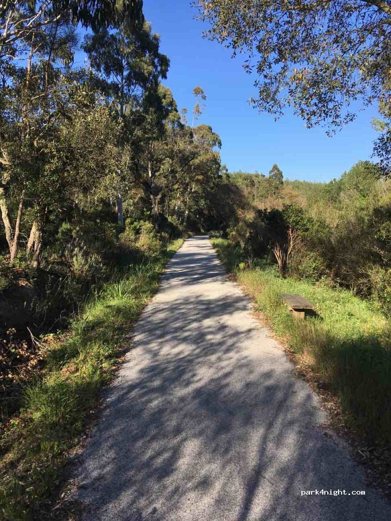 (83230) Bormes-les-Mimosas - Piste DFCI de Bargean — foto 3