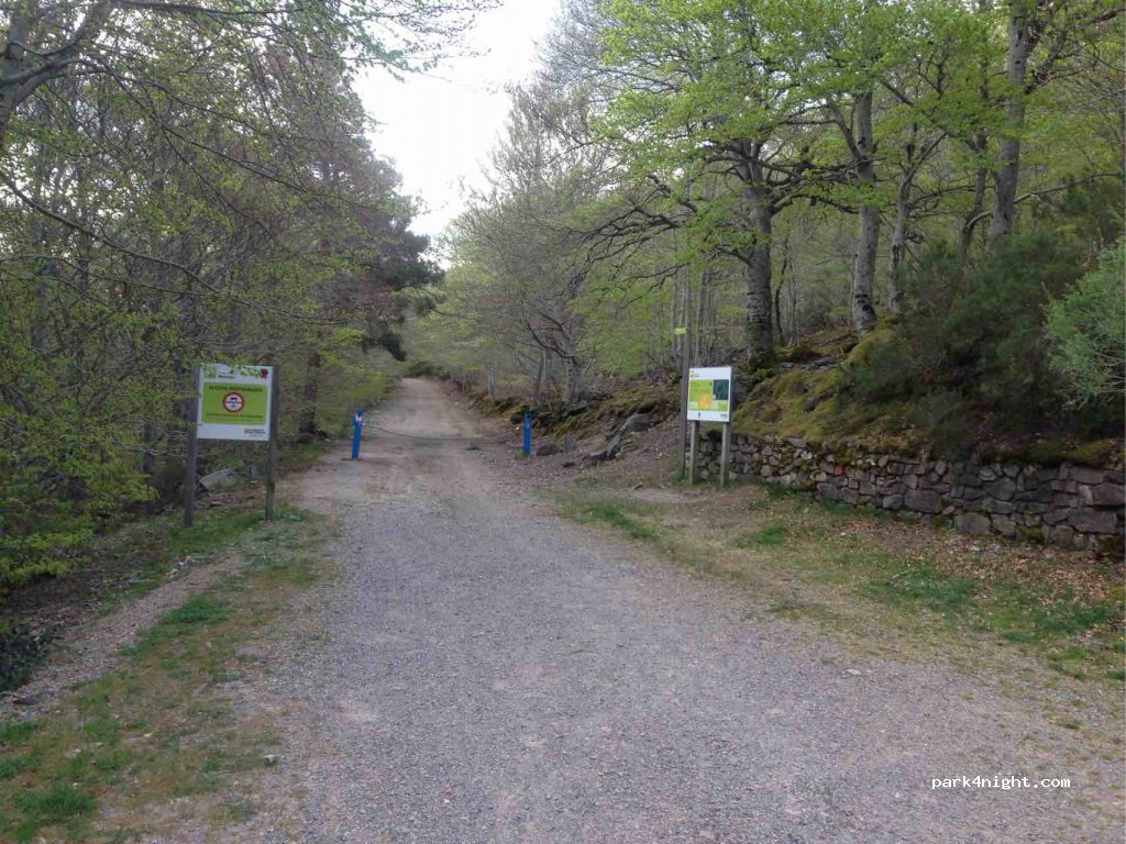 (50500) Añón de Moncayo - Unnamed Road — foto 3