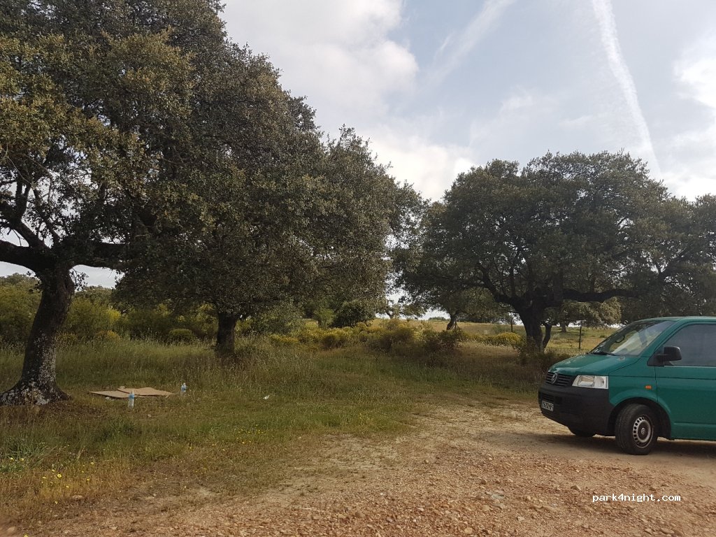 (10694) Torrejón el Rubio - EX-208 — foto 2