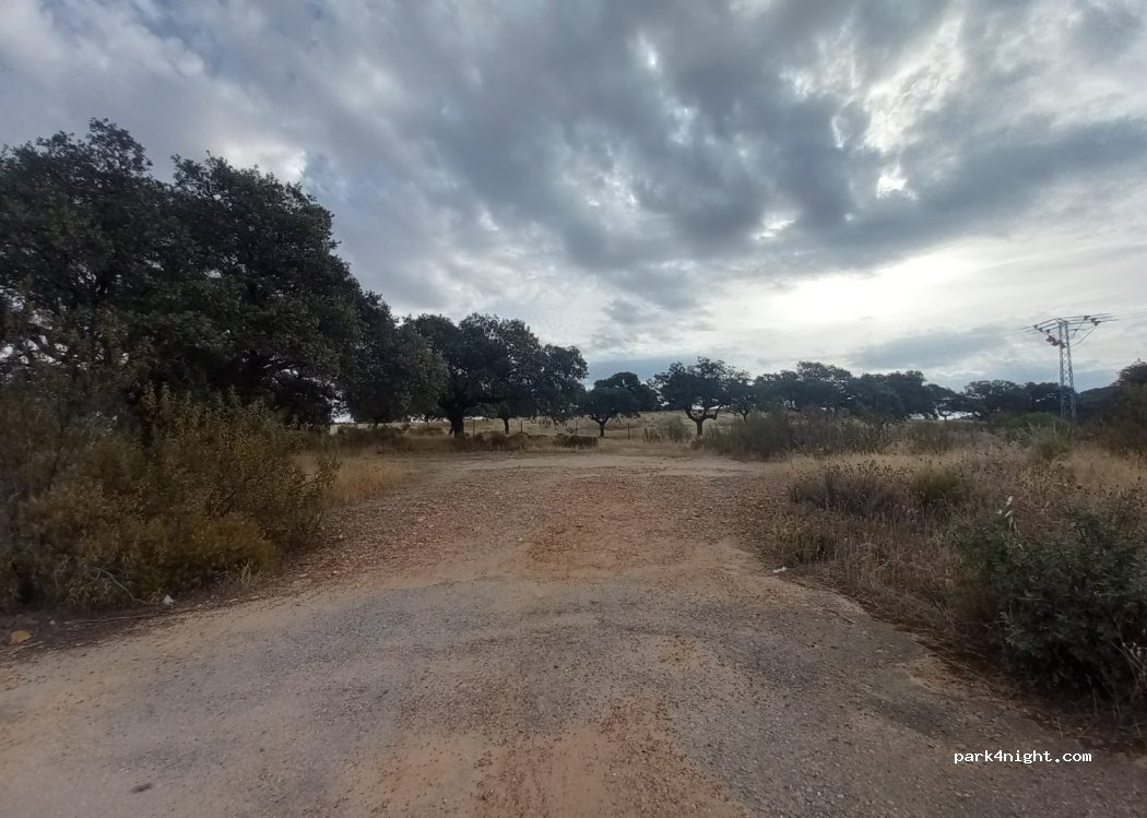 (10694) Torrejón el Rubio - EX-208 — foto 3