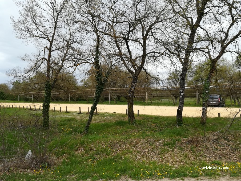 (01192) Vitoria-Gasteiz - A-3010 — foto