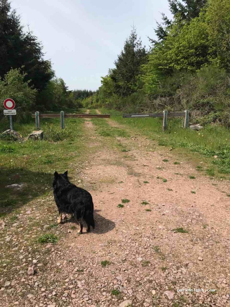 (71200) Saint-Sernin-du-Bois - 3 Route du Moy — foto 2