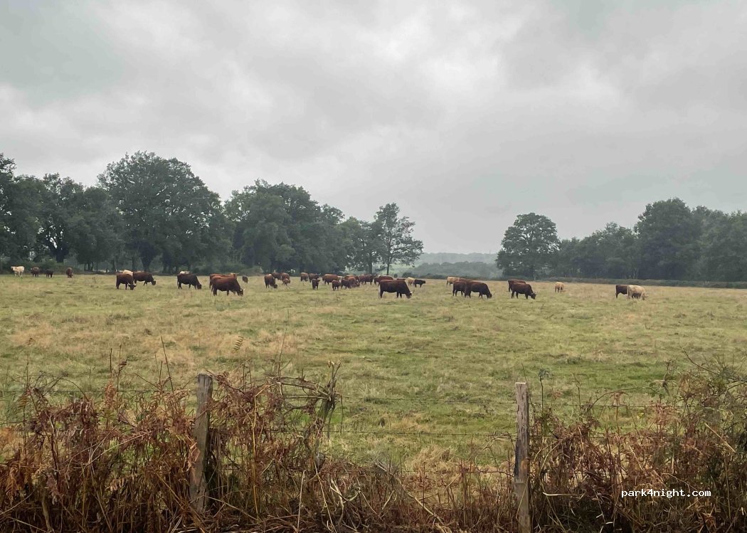 (18100) Vierzon - Chemin des Beuvrettes — foto
