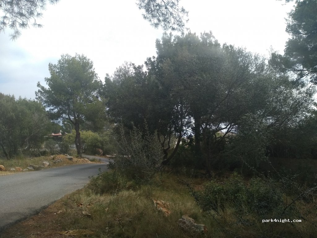 (07181) Calvià - 14 Carrer Coloms — foto