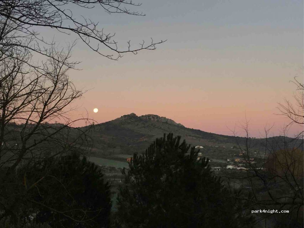 (06300) Zafra - 42 Diseminado Peralas — foto 3