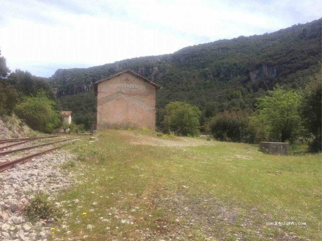 (08040) Taquisara - — foto