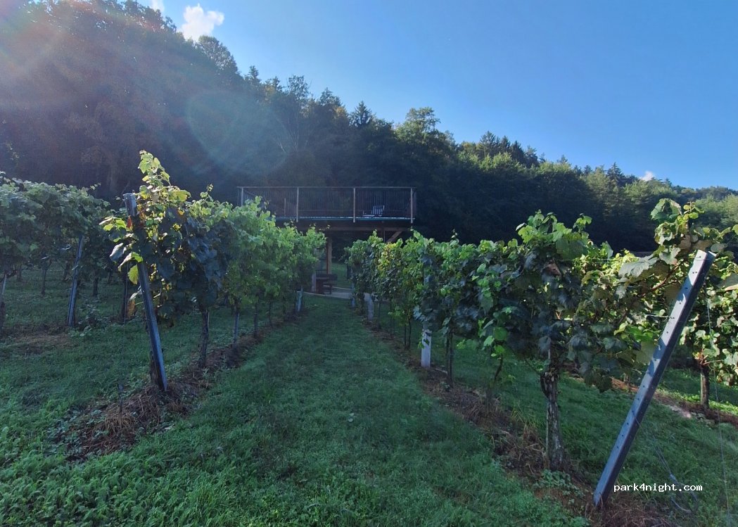 Winzerhof Camping Strablegg — foto 4