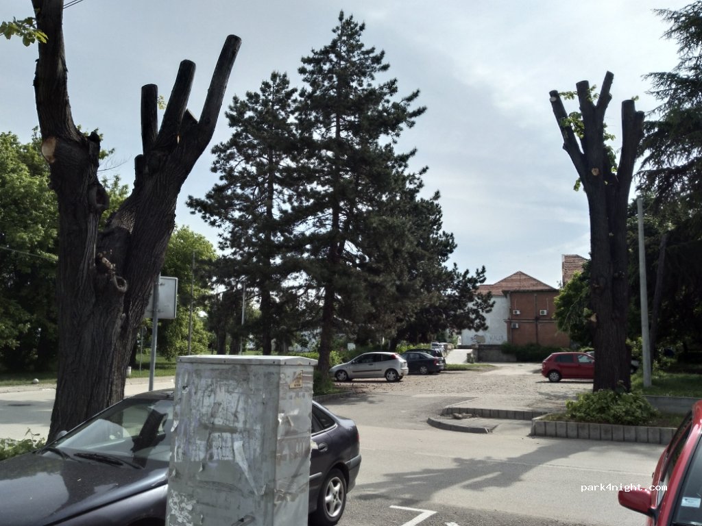 () Kladovo - 167 — foto 3