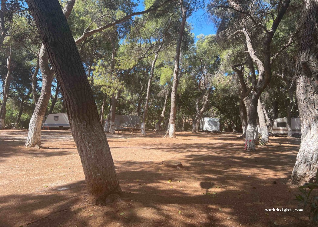Camping Dionisiotis — foto 4