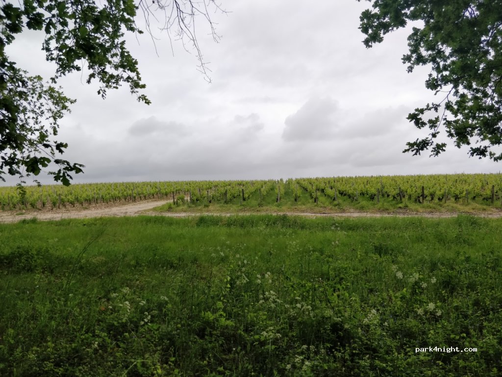 (33180) Saint-Estèphe - Unnamed Road — foto