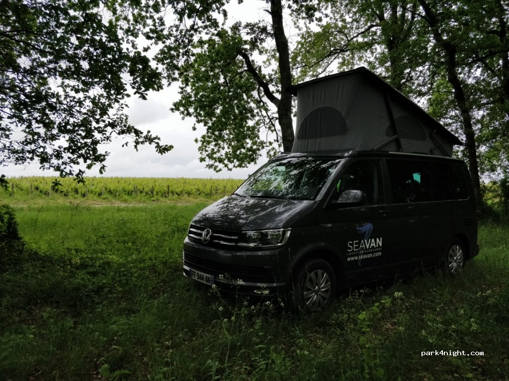 (33180) Saint-Estèphe - Unnamed Road — foto 2