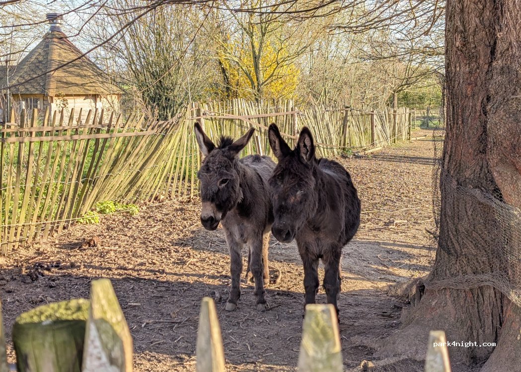 (7207 DG) Zutphen - 2 Lansinkweg — foto 5