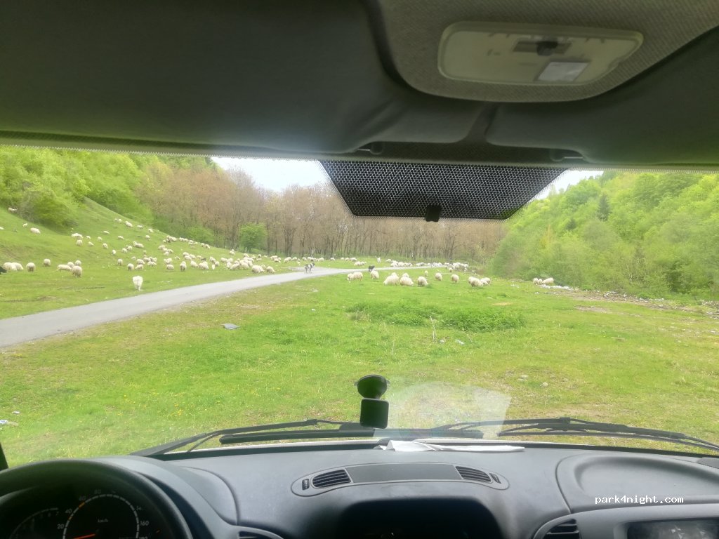 (437170)  - Unnamed Road — foto