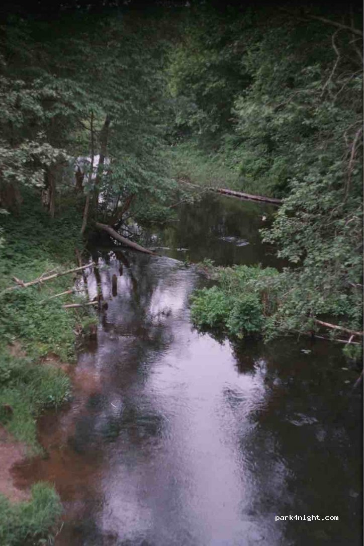 (172834) Gostilikha - Unnamed Road — foto 3