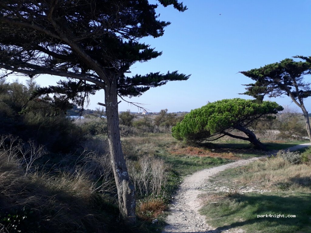 (17111) Loix - Marais du Grouin — foto 3
