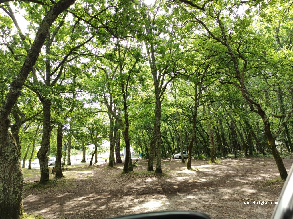 (33260) La Teste-de-Buch - 25 Boulevard du Pyla — foto