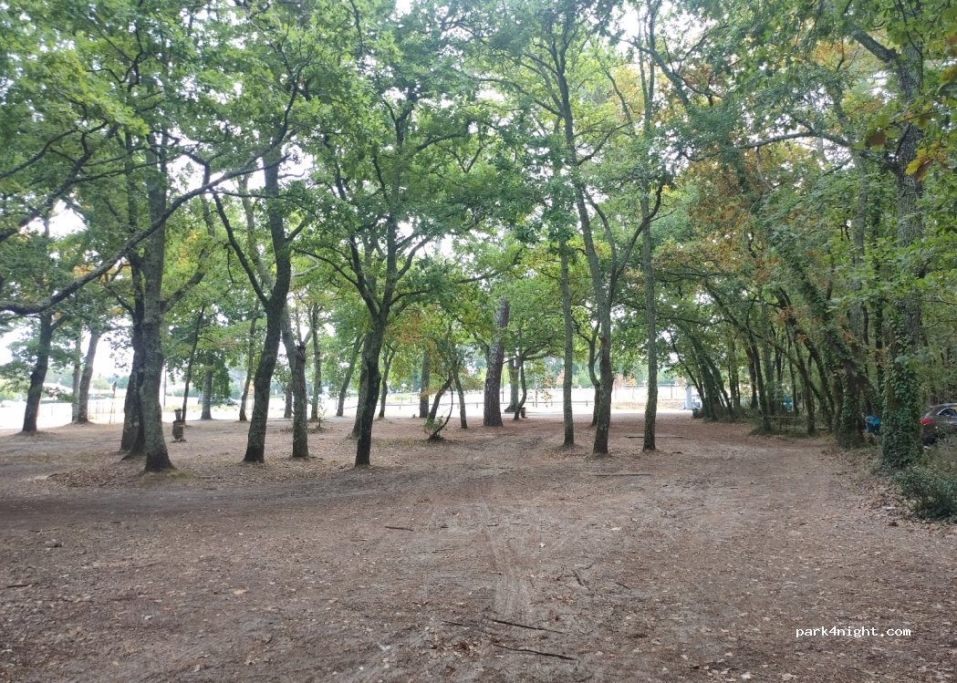 (33260) La Teste-de-Buch - 25 Boulevard du Pyla — foto 2